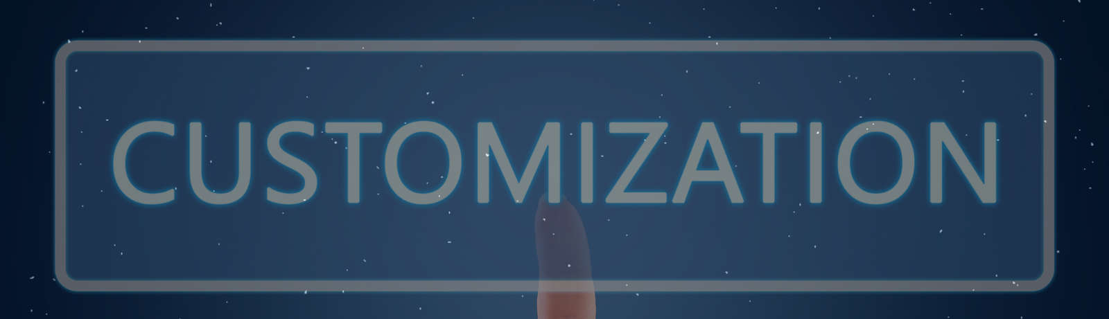 Customization Services